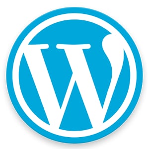 WordPressのお困り解決します パスワード変更・ドメイン変更・SSL化など多数のお悩みを解決 イメージ1