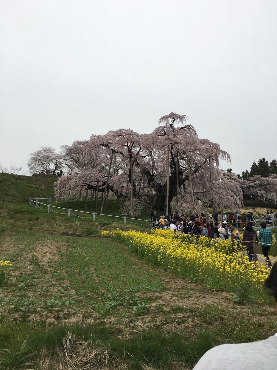 気をつかわなくていい相手だと話しやすくなります １千人以上の悩み事をきいてきた経験があなたの癒しとなります イメージ7