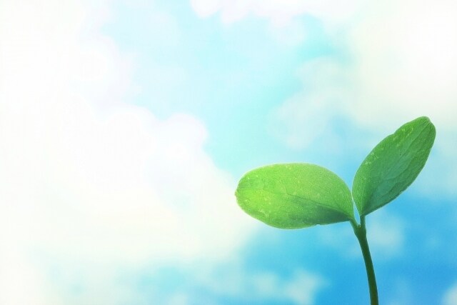あなたの気持ちにそっと寄り添います 心のモヤモヤゆっくりお話しませんか？ イメージ7