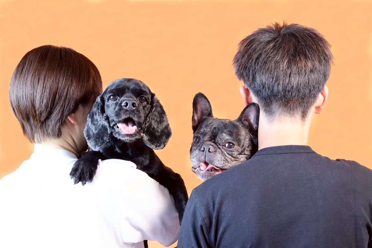 浜松市で愛犬専門の出張撮影いたします ご自宅で自然な表情を丁寧に撮影します イメージ1