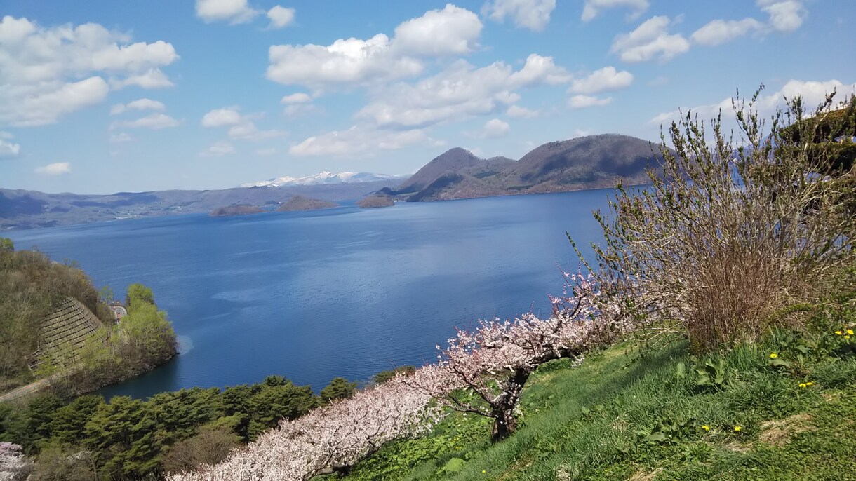 数秘術で占います 生まれ日だけで、お客様の人生を占います。当たると好評です！ イメージ1