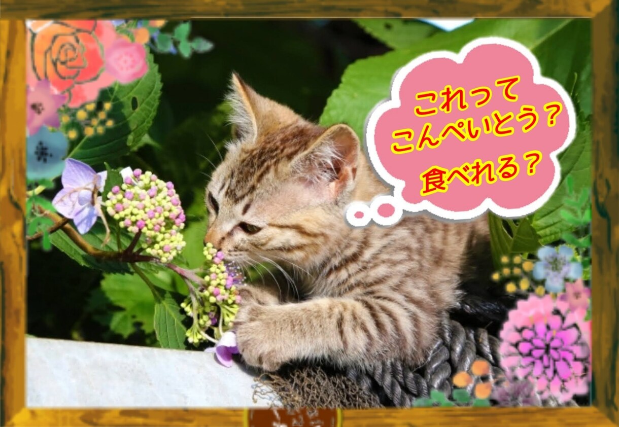ペットの写真をアレンジしてご提供いたします ペットの写真をさらに可愛らしく、または面白く画像加工します♪ イメージ6
