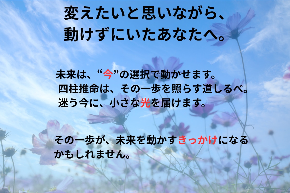 四柱推命で2025年全体の運勢占います 今年をどう過ごす？あなたの運気と課題を先読み イメージ3