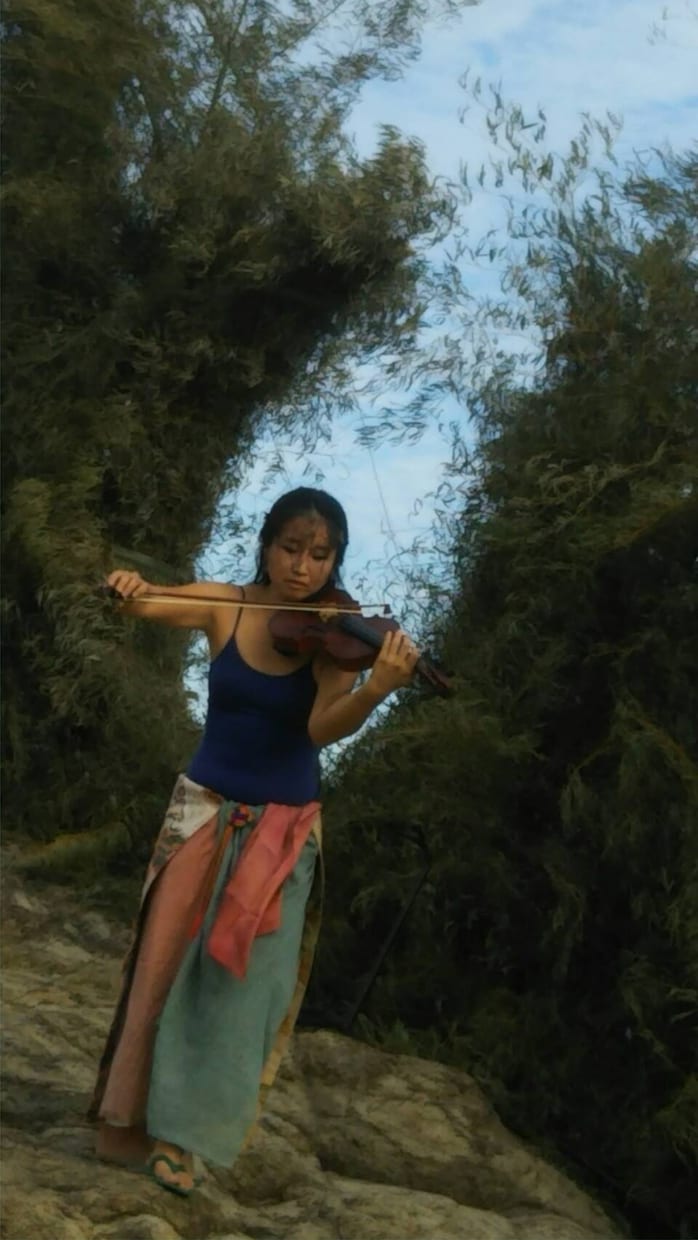 バイオリンの弾き方　教えます 大人になってから始めた方や、伸び悩んでいる方に イメージ1