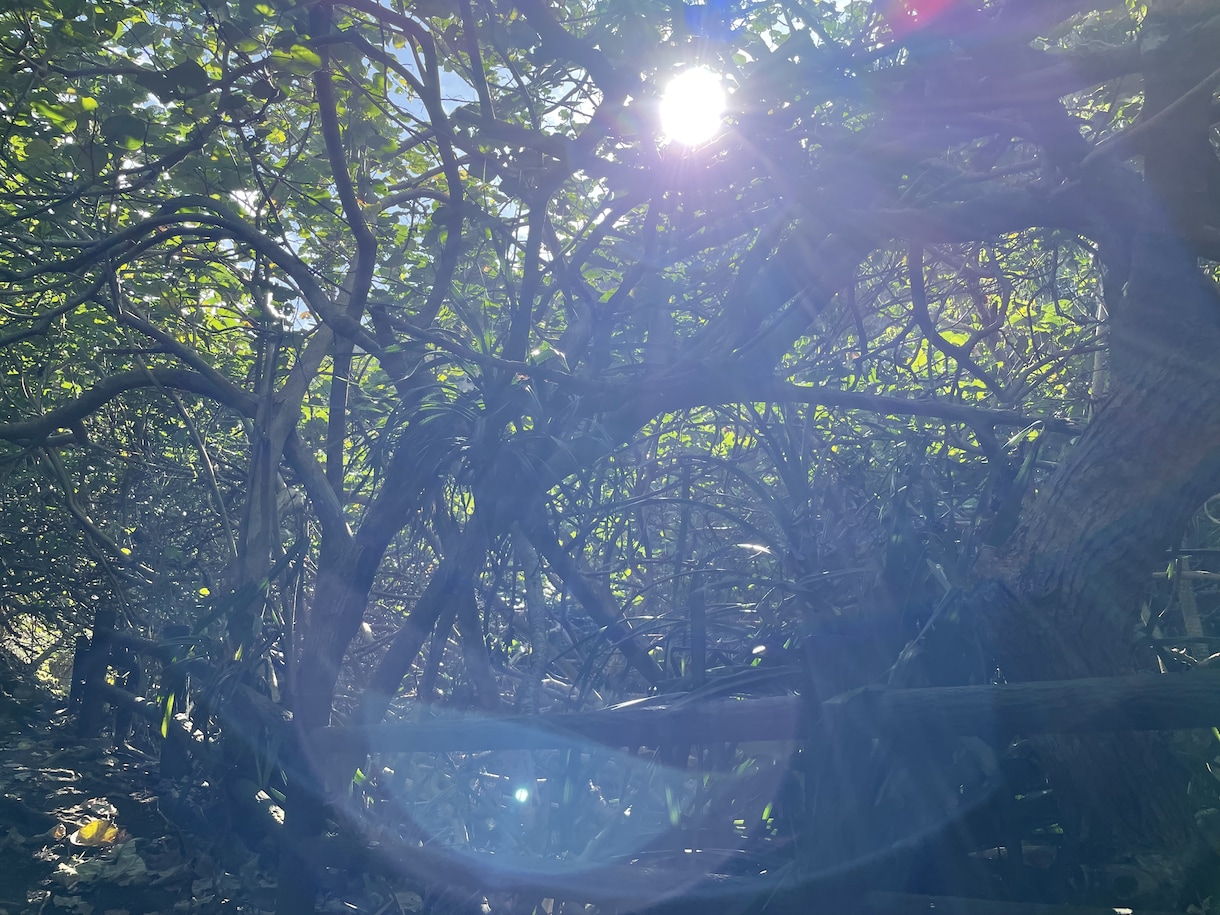 どんな悩みでもききます 自分が様々体験、体感した事からお伝えできればとおもいます！ イメージ2