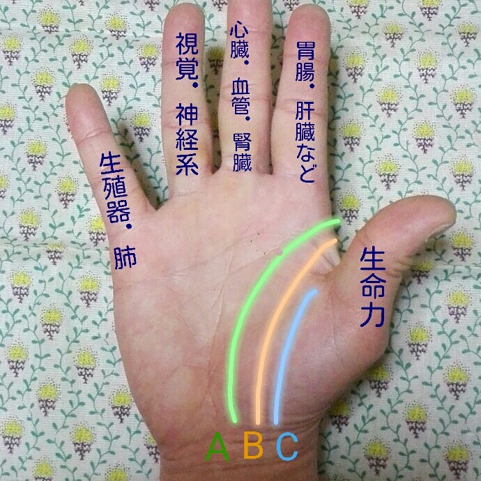 タロットと手相で占います タロットと手相での鑑定に興味がある方にお勧めです。 イメージ3