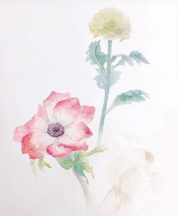 絵(デッサン、水彩ほか)の指導をさせていただきます (初心者向け)【一人一人の方に沿ったアドバイスをします】 イメージ9