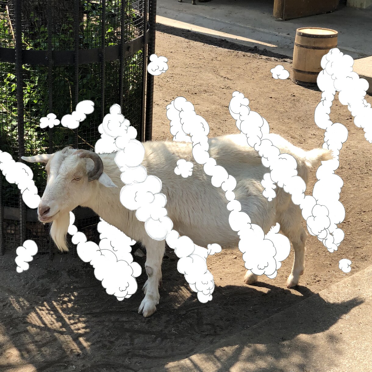 あなたの写真に魔法をかけます 〜プロのデザイナーによる ふしぎなエフェクト加工〜 イメージ8
