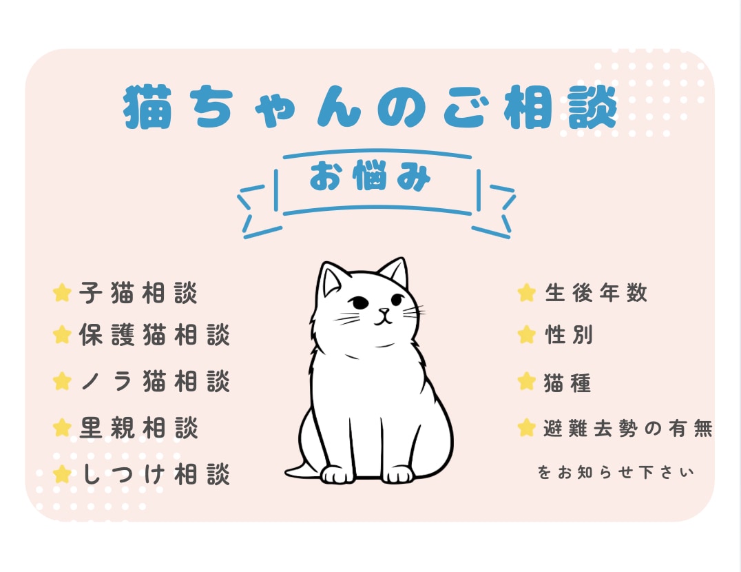 野良猫の保護や子猫の育て方などのご相談受けます 子猫9匹、成猫20匹以上保護してきた経験からお話しします！ イメージ1