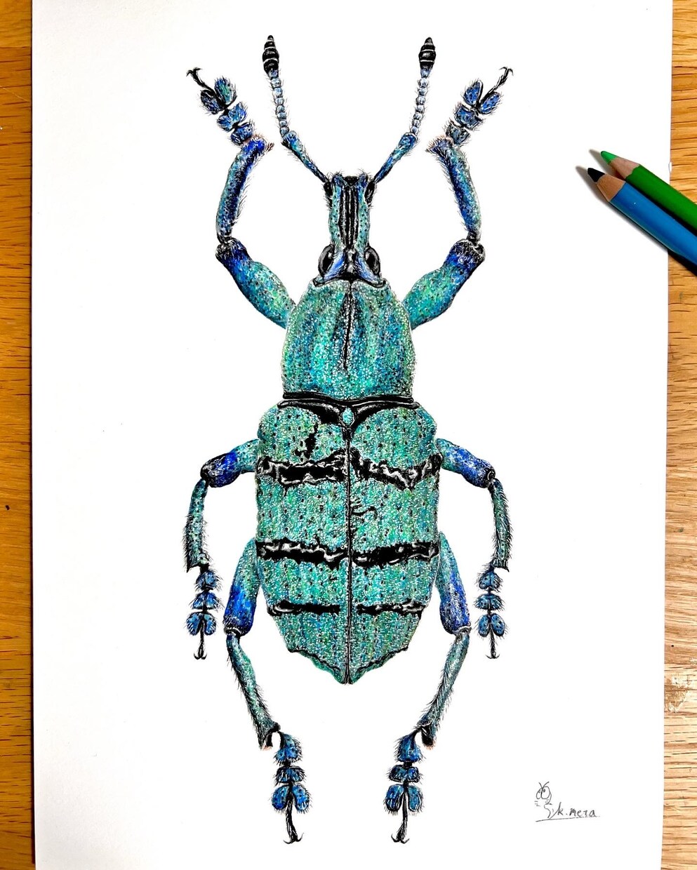 部屋に飾りたくなるような動物画を描きます ペットの似顔絵やあらゆる生き物の絵の作成依頼を承ります。 イメージ6