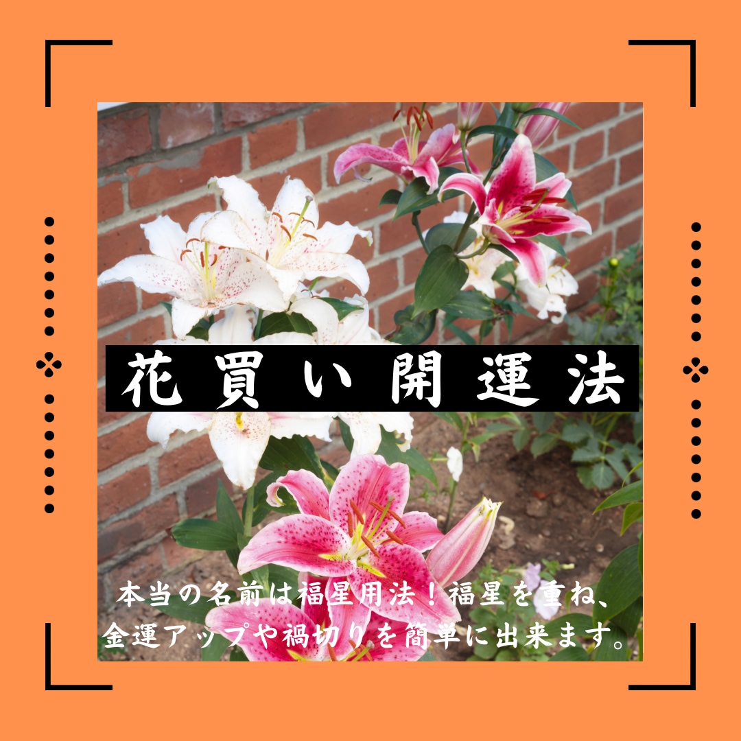 花の力で簡単運気アップ：口伝で伝わる本物を教えます 口伝で伝わる花買い開運法で運気を咲かせる！ イメージ1