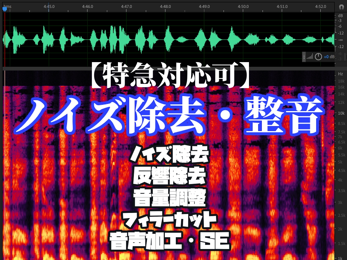 最短即日、音声ノイズ除去・整音をプロ品質で承ります 細部まで丁寧にノイズ処理。商業・長尺作品にも幅広く対応します イメージ1