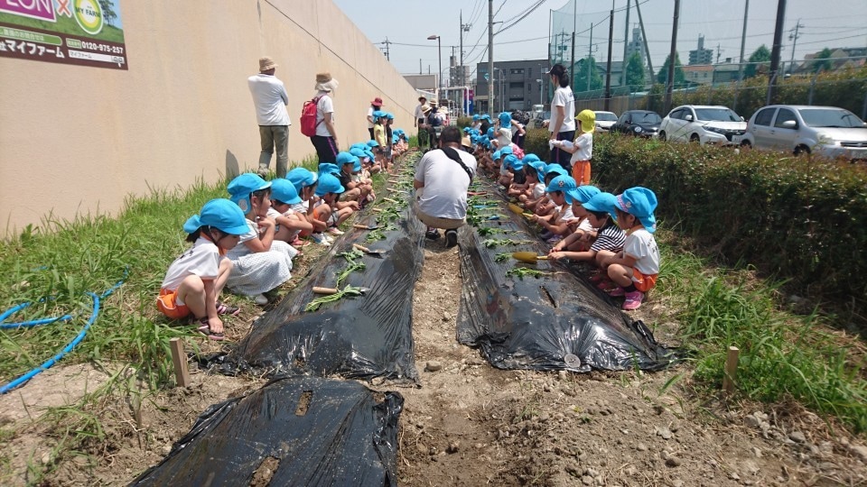 某テレビ番組の監修者が家庭菜園の悩みお答えします 家庭菜園で何から始めようか迷っている、失敗した事がある貴方へ イメージ3