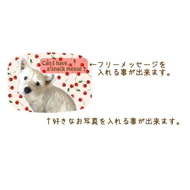 お気に入りのお写真で♪ピルケースをお作りします 見る度にワクワク♪世界にたったひとつのピルケースです♪ イメージ2