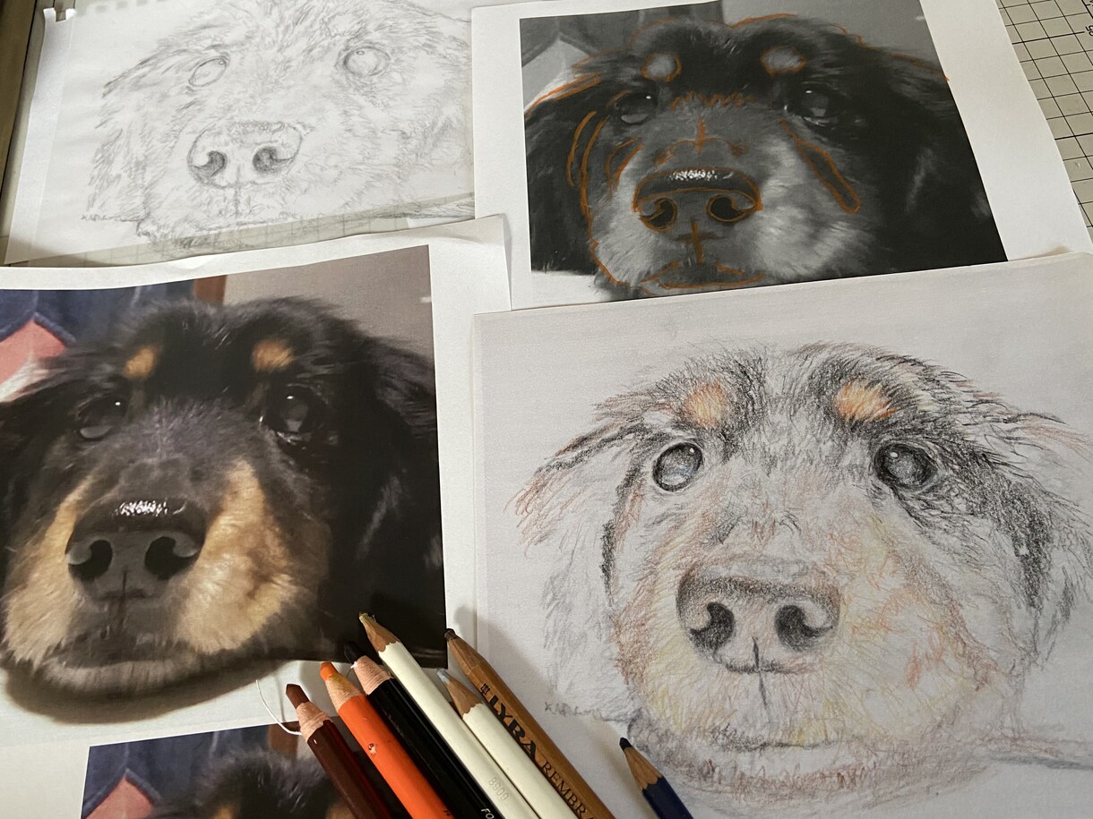 愛犬・愛猫を色鉛筆またはデジタルでリアルに描きます ペットとの思い出をあったかい似顔絵でお手元に イメージ2