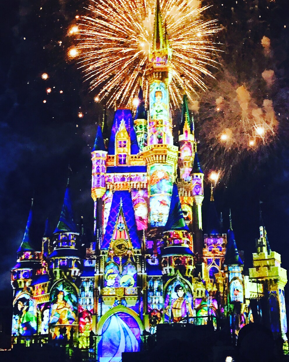 完璧なウォルトディズニーワールドプラン考えます WDWで働いていました。全てお手伝いします！ イメージ1