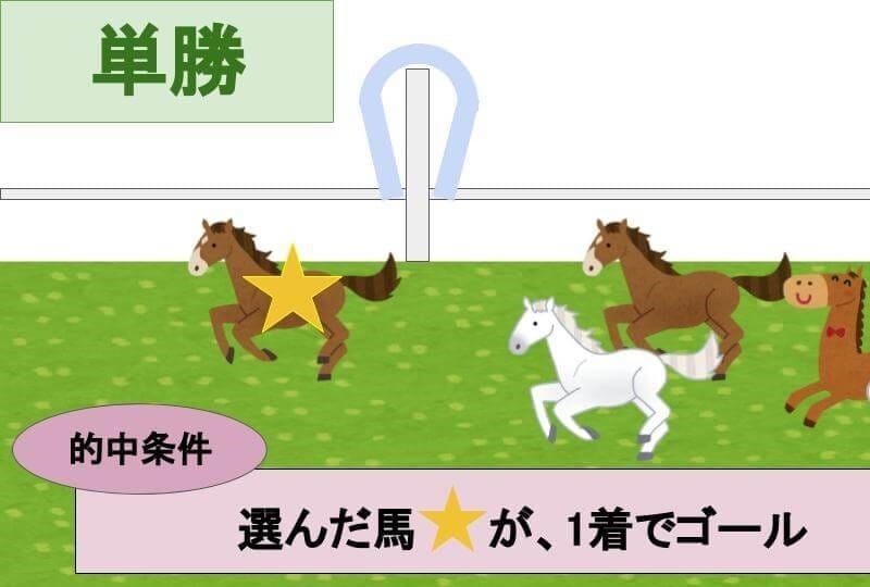 単勝馬券のみで利益を出す方法をおしえます ●単勝馬券のみで利益を出す方法●単勝馬券投資法● イメージ1