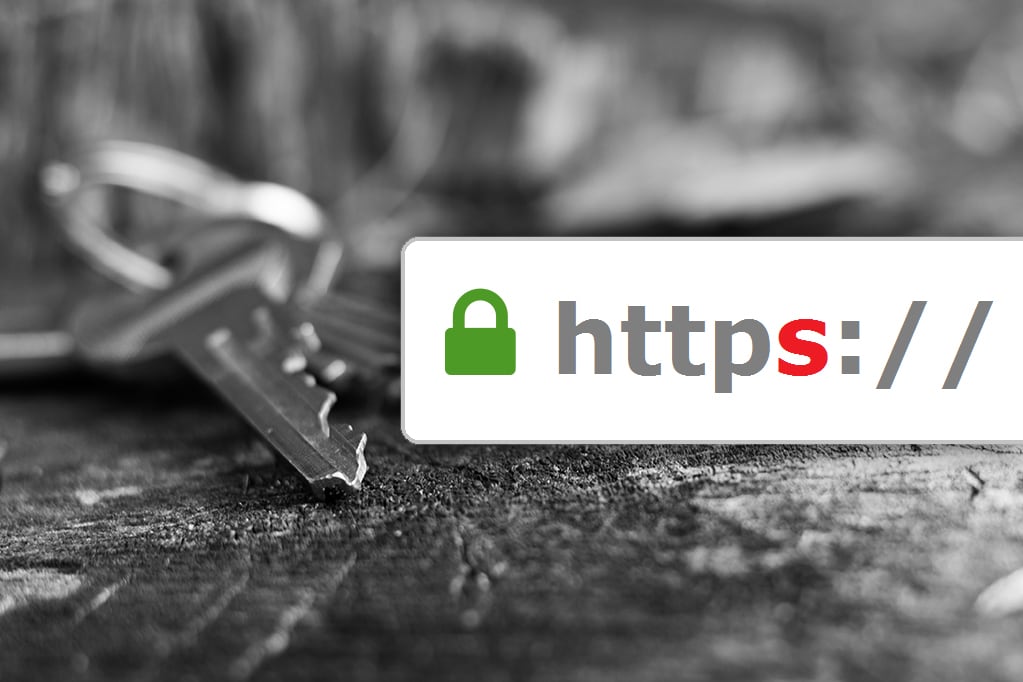 常時SSL/TLS(https)を定額で代行します WordPressのSSL化・有料証明書の取得代行など イメージ1