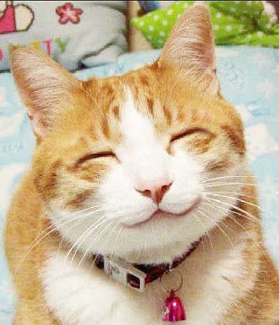 ゆるーくお話できたらと思います 寝れない夜ありますよね。ねむくなるまでお話しましょう。 イメージ1