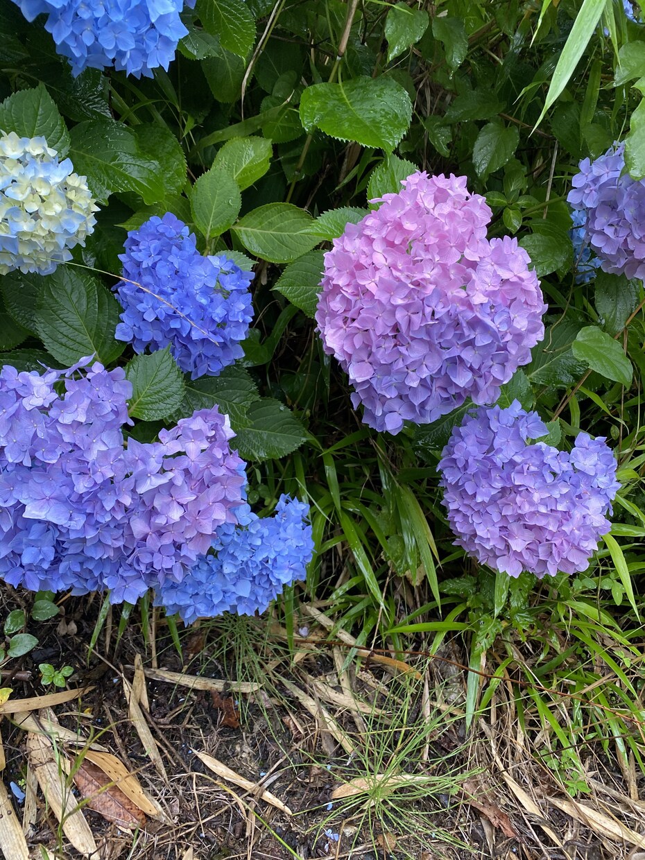 文字入力早いため、代行致します 頂いたお仕事に精一杯取り組みますので、よろしくお願いします。 イメージ1