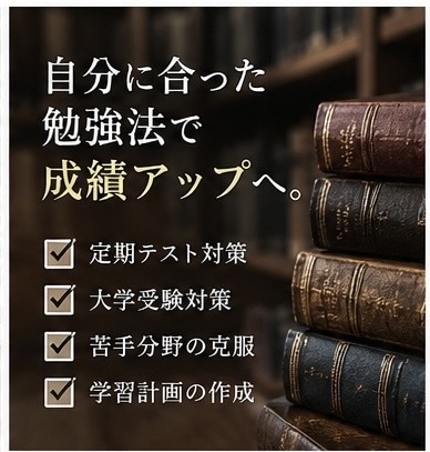 大学受験の世界史勉強法を徹底的にサポートします 定期テストから大学受験まで、あなたに合った勉強法を提案！ イメージ2