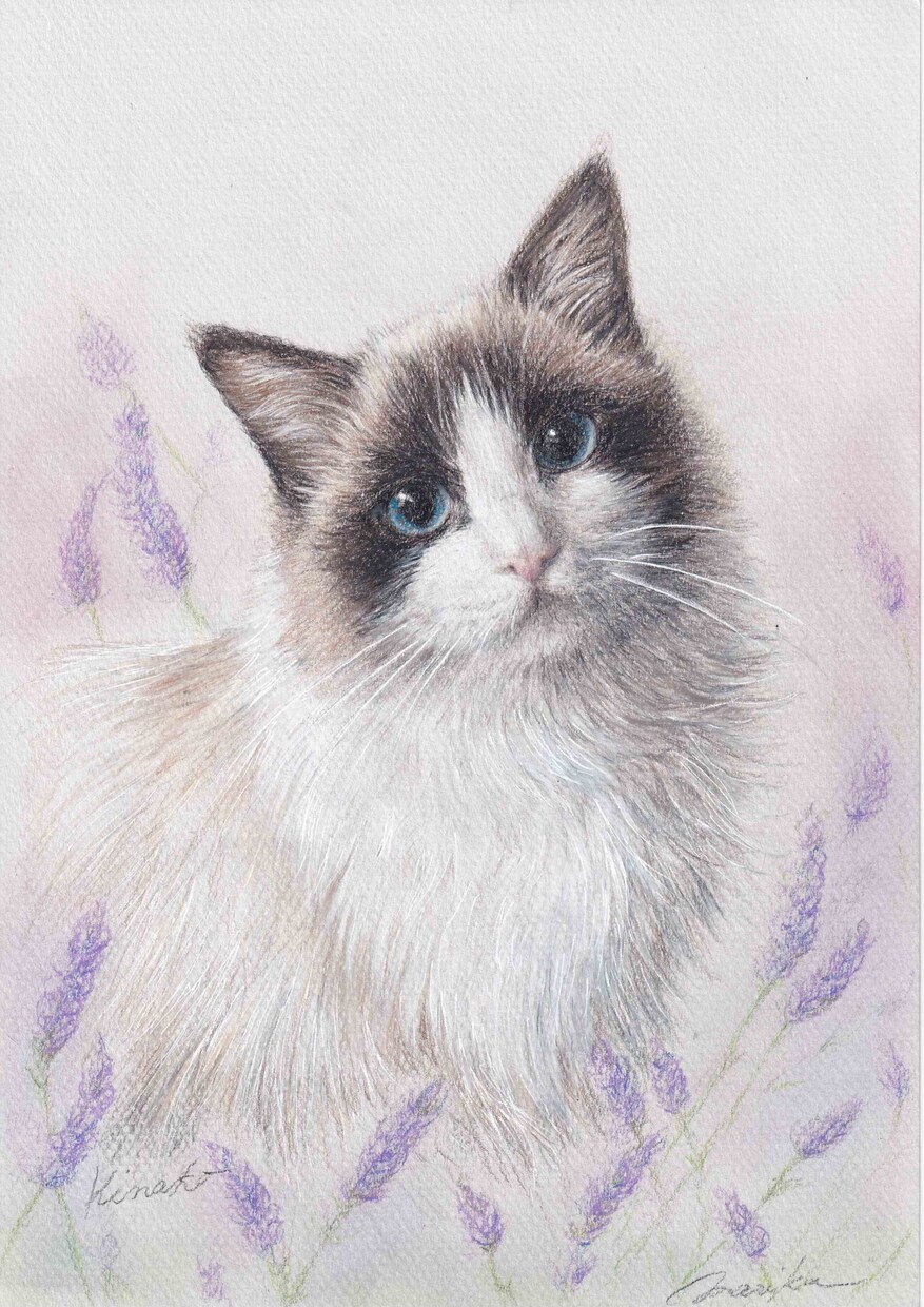 大切なペットをリアルで優しい絵画にいたします 動物を愛する作者が毛の一本一本まで愛情たっぷりに仕上げます。 イメージ8