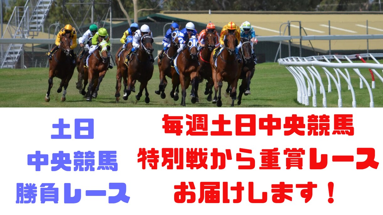 土日の中央競馬❗️完全勝負レース予想します 土日の中央競馬❗️特別戦から重賞レースと特選レース❗️ イメージ1