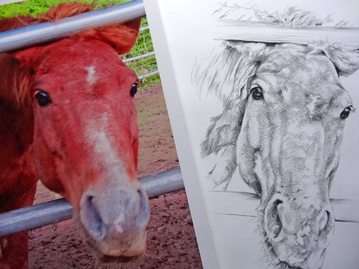 写実的な鉛筆画を描きます 鉛筆画の線が見えるタッチの鉛筆画を制作します イメージ1