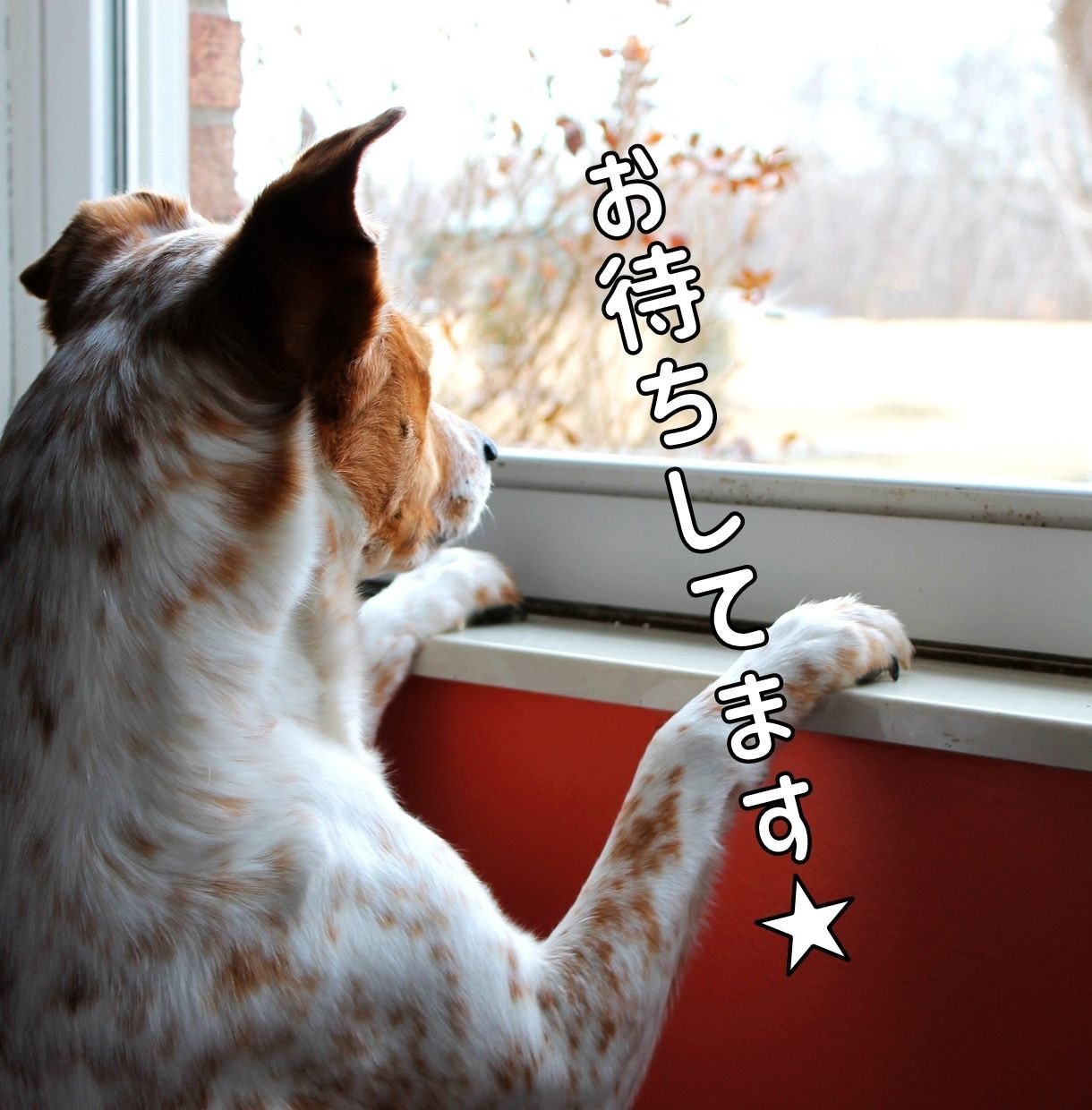 あなたのこころに優しく寄り添う人がここにいます ただ話したい!ただ聞いてほしい!そんなあなたを受け入れます イメージ3