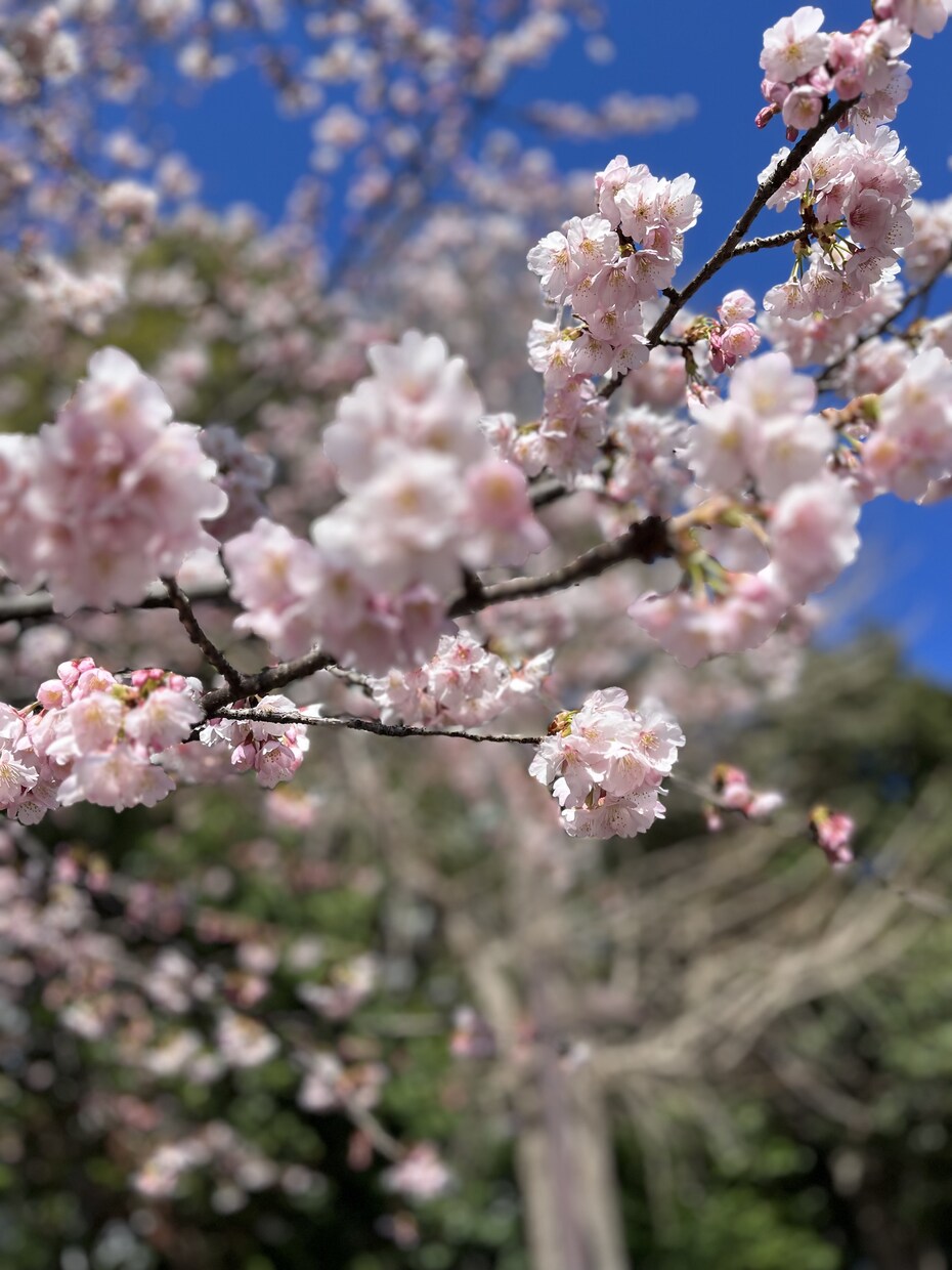 家事が終わってホッとした時間のお喋り相手になります ママ友とのお喋り感覚で!でもリアルでは話せないことをどうぞ♡ イメージ9