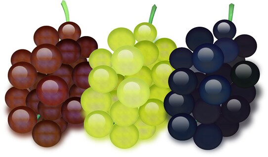 趣味でぶどうの木を栽培されている方に、剪定（せんてい）の方法をアドバイスします。 イメージ1