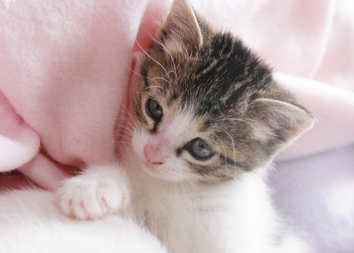 気持ちよく眠れるように..♡*ﾟ¨お手伝いをします 眠る前にまったり…優しくおやすみなさいをします*:.｡* イメージ5