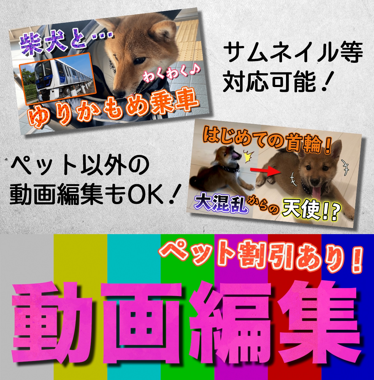 ペット割引あり／動画編集します 愛犬家のテレビディレクターが熱血編集！！ イメージ1