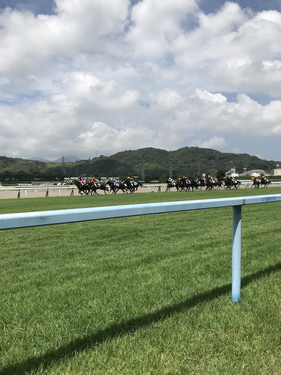 競馬は楽しい！そう思えるような予想を提供します 独自の採点方法を駆使し、プラス収支達成のために予想提供します イメージ1