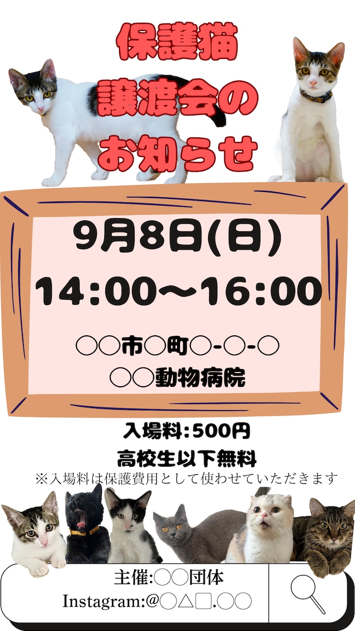 Canva保護猫譲渡会の簡単SNSチラシ作ります 譲渡会チラシで保護猫ちゃんの里親さん見つけませんか? イメージ2