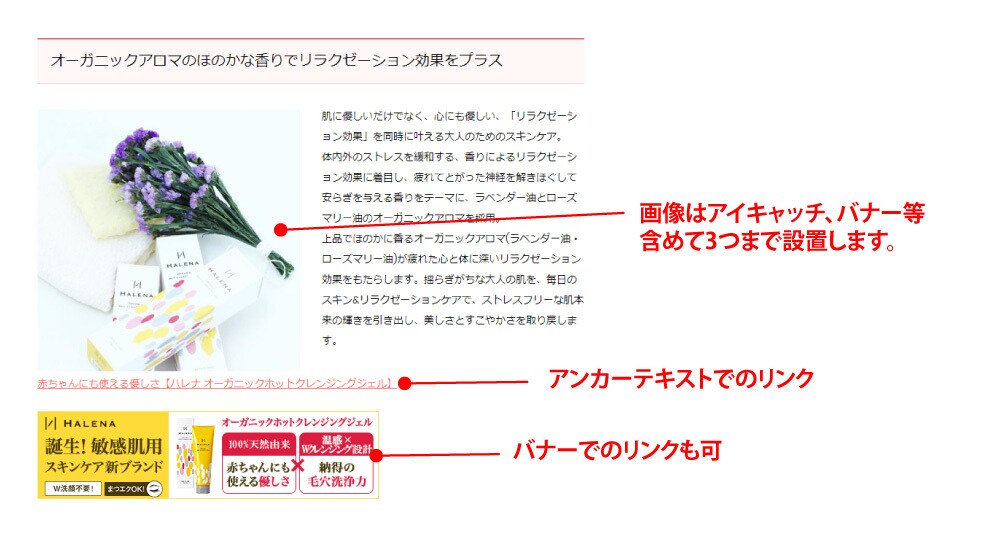 半永久被リンク！女性向け情報・サービスを掲載します SEOコンサルがページを作成して高品質な半永久被リンク！ イメージ4