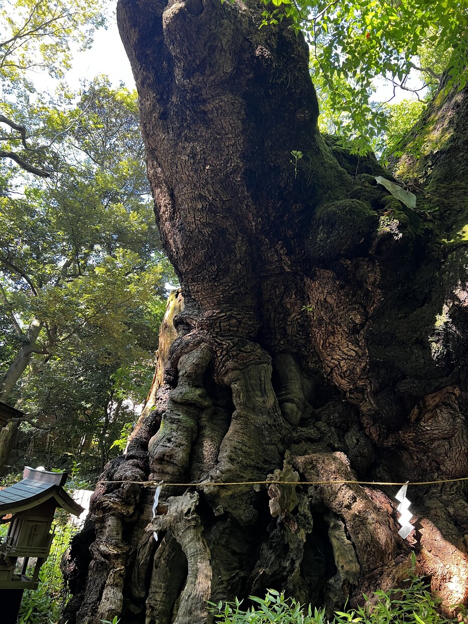電話はちょっと…でも誰かに聞いてほしいに応えます 電話はハードルが高い、でも愚痴や誰かに聞いてほしい方に✩.* イメージ3