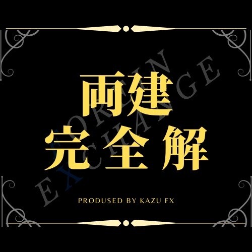 遂に見つけた！【FX両建て手法の完全解】教えます ネットで噂になっていたあの手法を解明しました