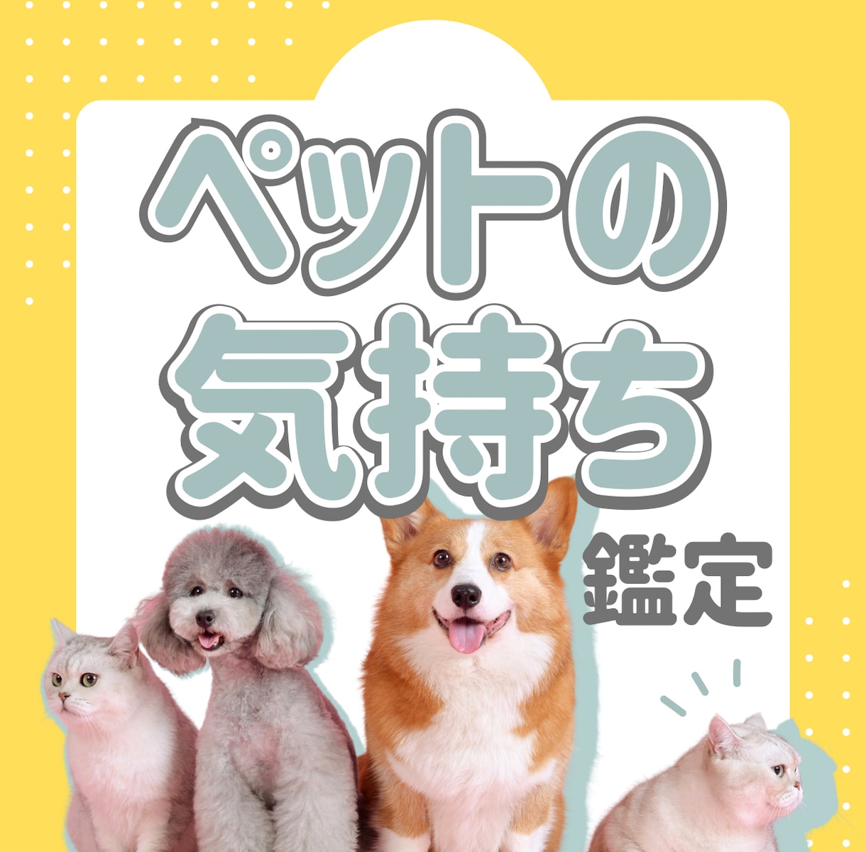 お試し鑑定!!!ペットの気持ち占います 知りたかったあの子の気持ちをアニマルコミュニケーションで鑑定 イメージ1