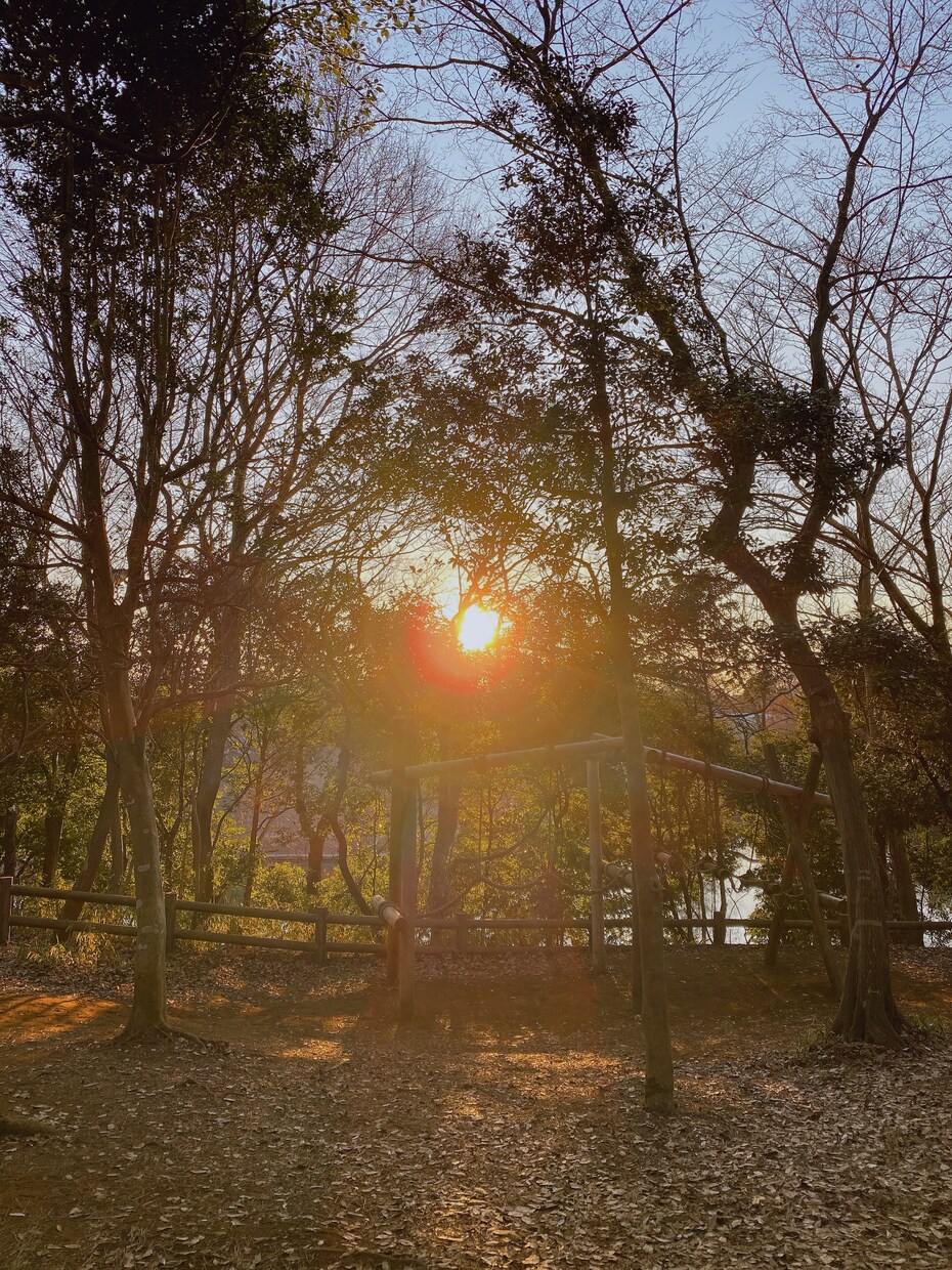 癒される景色の写真を販売します 美しい景色や自然やお花がメインです イメージ7