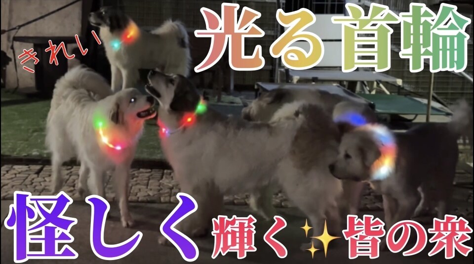 動画作成承ります 出来るだけ早く出来るだけ安く！ イメージ4