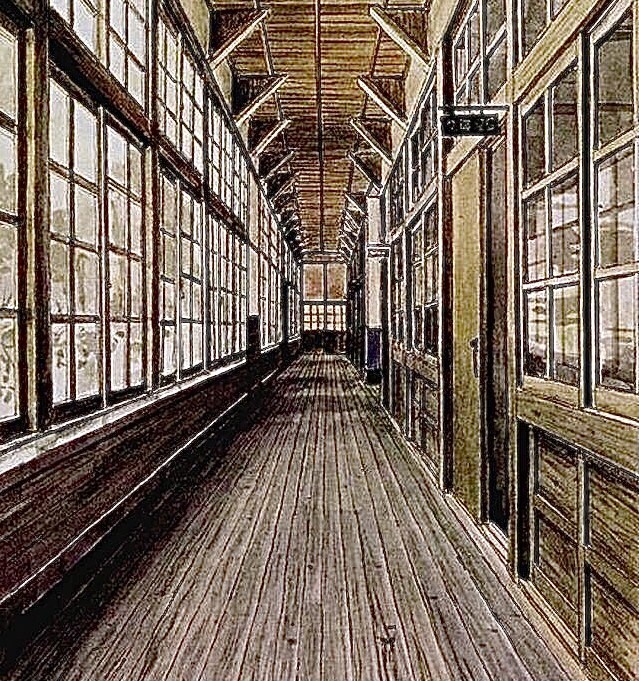挿絵、風景、建築パース、動植物画描きます 全てのモチーフに対応、画歴40年以上のプロです。 イメージ4