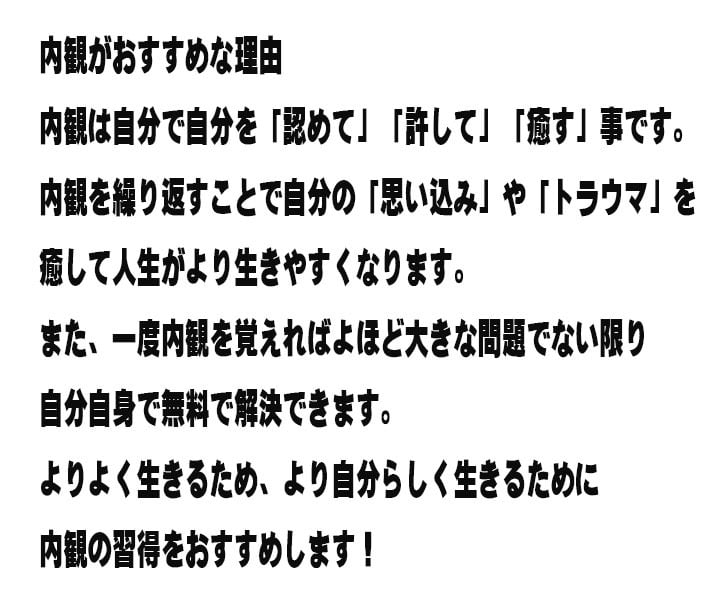 内観を始めたい方、上手くいかない方、相談を承ります わからないことや詰まってしまった時上手くいかないを解決します イメージ3