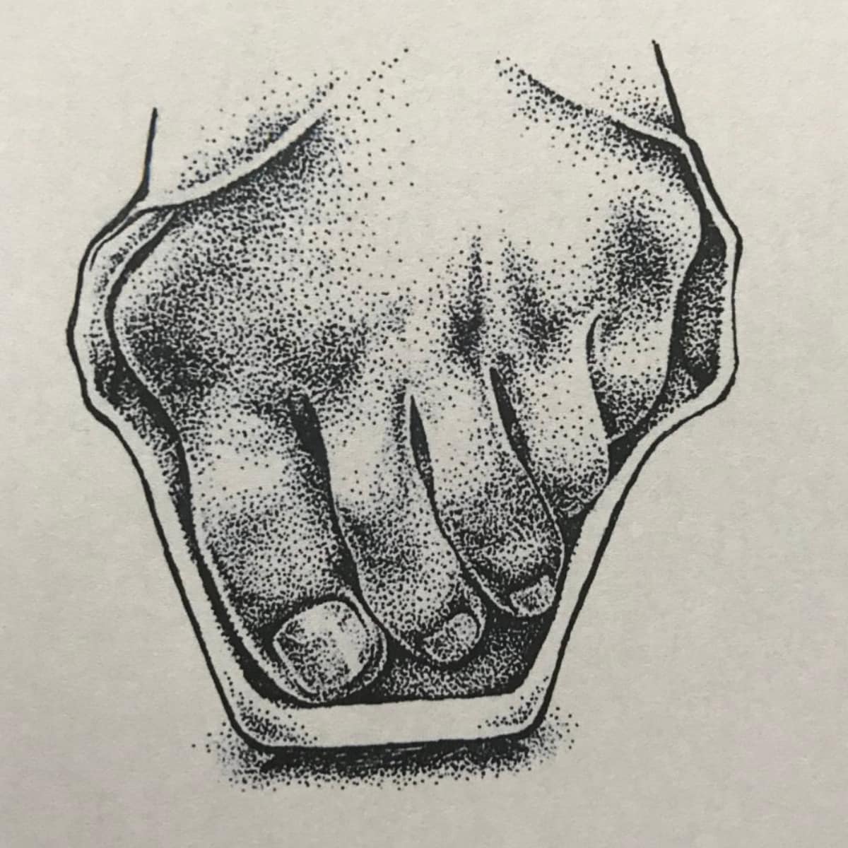完全手描き/医療・ヘルスケアの精密イラスト描きます 学会スライドにも好評！高級書籍の様なリアルモノクロイラスト イメージ5