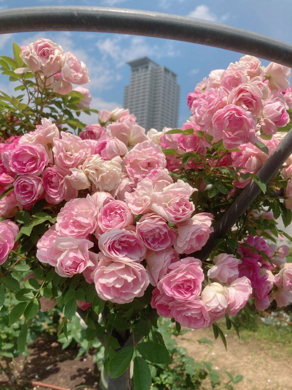 ちょっと誰かと話したいを叶えます バツ2、鬱経験あり、そんな私と色々お話しましょ⭐︎ イメージ2