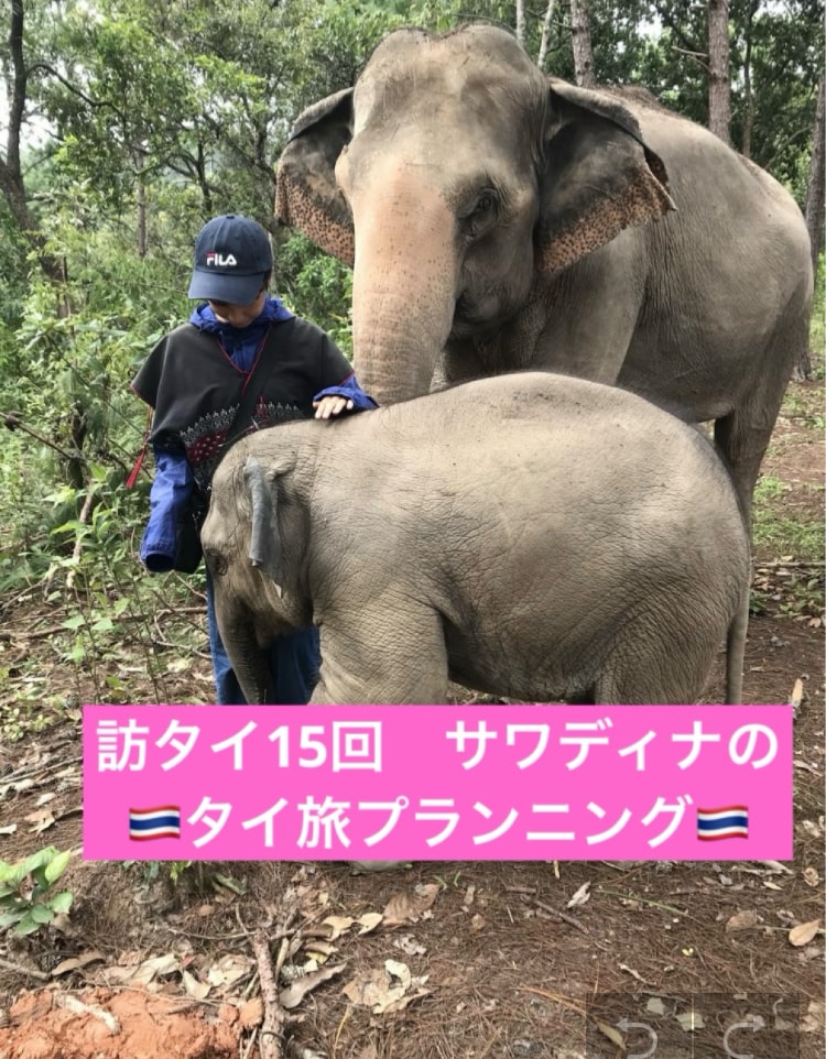 モニター価格！！タイ旅を一緒に考えます 子連れ・1人旅・友人旅など様々なタイ旅の経験をシェアします イメージ1