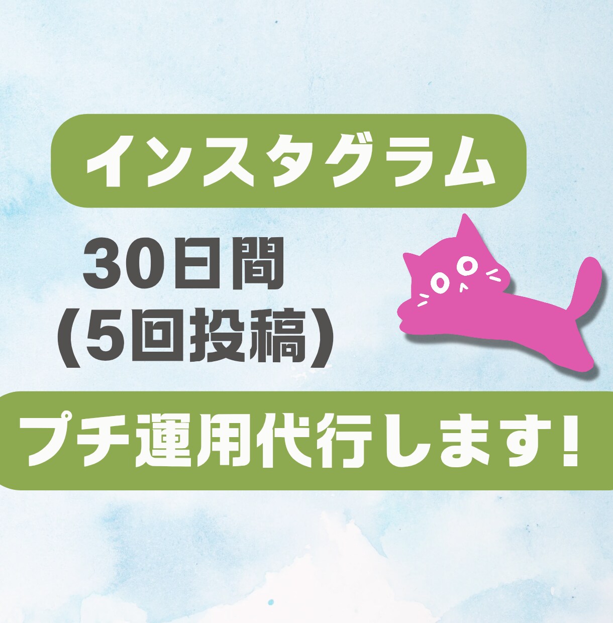30日間で5回の投稿！インスタグラム運用代行します 動かさないと勿体ない！素敵な商品の魅力を伝えます！SNS運用 イメージ1