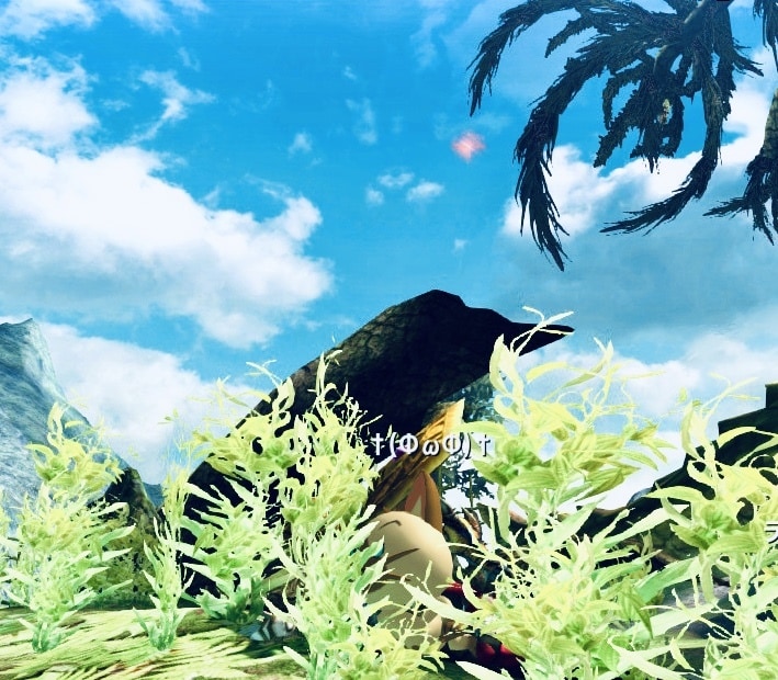 MHXX  お手伝いさせて頂きます モンハンで一緒にひと狩りしましょう！！ イメージ1