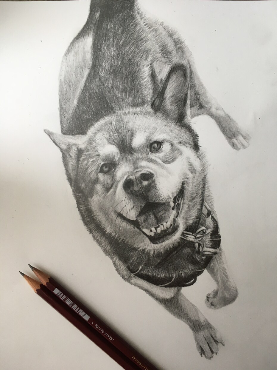 大事なペットの似顔絵描きます 可愛いペットの似顔絵を絵に残しませんか？ イメージ1