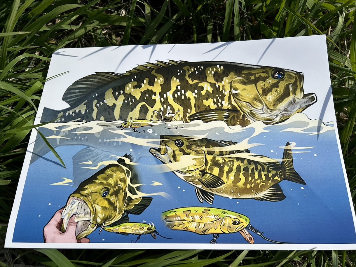 お魚のイラスト描きます 釣り好きの私が描きます！マニアックな種類も対応可能！ イメージ2